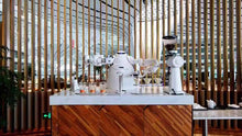 Load image into Gallery viewer, OS02 orionstar coffee making robot