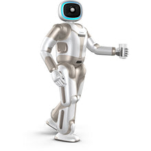 將圖片載入圖庫檢視器 ParaBOT. Rent-A-BOT. UBTech Walker.