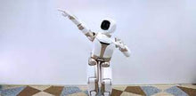 將圖片載入圖庫檢視器 ParaBOT. Rent-A-BOT. UBTech Walker.