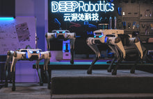 將圖片載入圖庫檢視器 deeprobotics lite3
