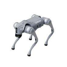 將圖片載入圖庫檢視器 Unitree Go2-pro with controller
