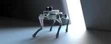 將圖片載入圖庫檢視器 deeprobotics lite3
