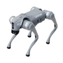 Unitree Go2-X with controller