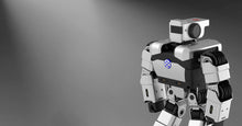 Load image into Gallery viewer, CO07 UBTech Yanshee
