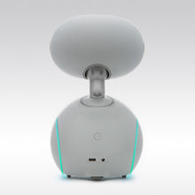 將圖片載入圖庫檢視器 ParaBOT. Rent-A-BOT. Asus Zenbo Junior

