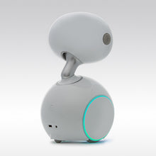 將圖片載入圖庫檢視器 ParaBOT. Rent-A-BOT. Asus Zenbo Junior
