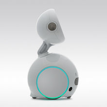 將圖片載入圖庫檢視器 ParaBOT. Rent-A-BOT. Asus Zenbo Junior

