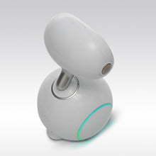 將圖片載入圖庫檢視器 ParaBOT. Rent-A-BOT. Asus Zenbo Junior
