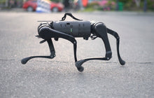 將圖片載入圖庫檢視器 ParaBOT. Rent-A-BOT. Unitree Aliengo.
