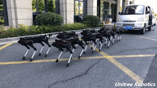 將圖片載入圖庫檢視器 ParaBOT. Rent-A-BOT. Unitree Aliengo.
